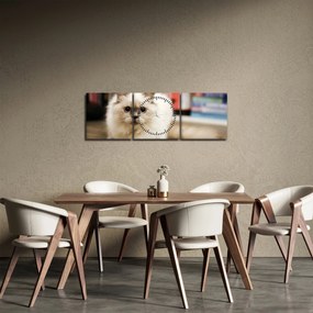 Tablou cu pisica albăr (cu ceas) (90x30 cm)