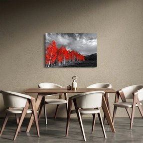 Tablou - Copaci în culorile toamnei (90x60 cm)