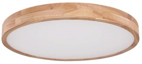 Plafoniera LED dimabila cu telecomanda design modern RAINER 41745-48 GL