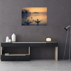 Tablou pe sticlă cu lebăde pe apă în ceață (70x50 cm)