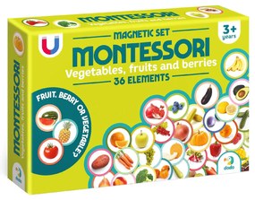 SET MAGNETI MONTESSORI - FRUCTE SI LEGUME - DODO (DO200272)