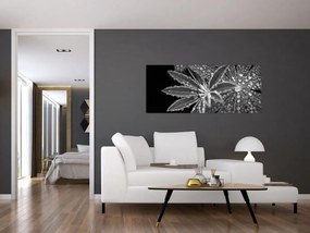 Tablou - Frunze cu picături (120x50 cm)