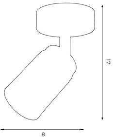 Spot RENO 1xGU10/60W/230V alb/crom