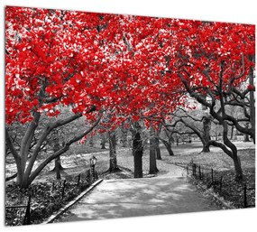 Tablou pe sticlă - Copaci roșii, Central Park, New York (70x50 cm)