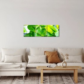 Tablou metnă (cu ceas) (90x30 cm)
