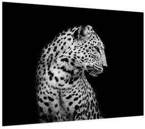 Tablou pe sticlă - Leopardul (70x50 cm)