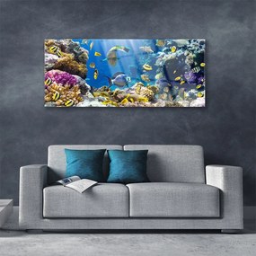 Tablouri acrilice Coral Reef Natura Multi