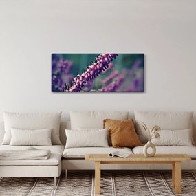 Tablou cu lavanda (120x50 cm)