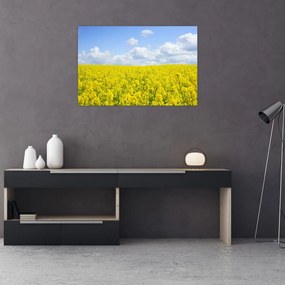 Tablou - Câmp galben (90x60 cm)
