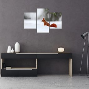 Tablou - Vevetițe (90x60 cm)