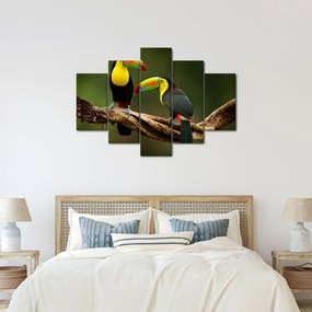 Tablou tucani sezând , Costa Rica (150x105 cm)