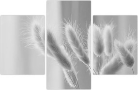 Tablou - Iarbă de coadă de iepure (90x60 cm)