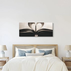 Tablou cu carte (120x50 cm)