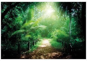 Fototapet autoadeziv drumul la  insula Seychelles