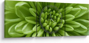Tablou - Imagine macro a unei plante (cu ceas) (90x30 cm)