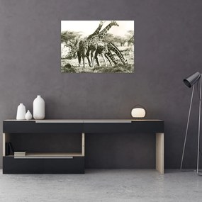 Tablou - Girafe, de epocă (70x50 cm)