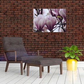 Tablou pe sticlă - Magnolie (70x50 cm)