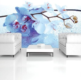 Fototapet - Arta florală - abstract (152,5x104 cm)