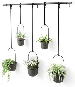 Ghivece decorative 5 buc. din plastic pentru ierburi aromatice/de agățat / de perete ø 7,5 cm Triflora – Umbra