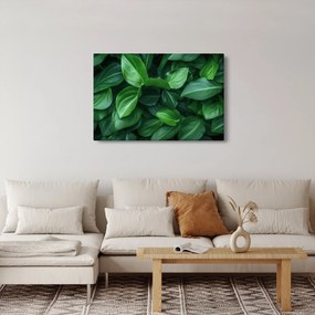 Tablou - Frunze verzi (90x60 cm)