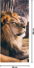 Fototapet pentru ușă - Leul culcat (95x205cm)
