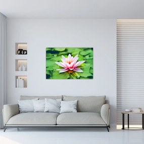 Tablou - Nuferi pe apă (90x60 cm)