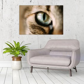 Tablou - Ochi de pisică (90x60 cm)