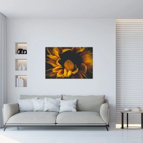 Tablou - Floarea-soarelui în fundal negru (90x60 cm)