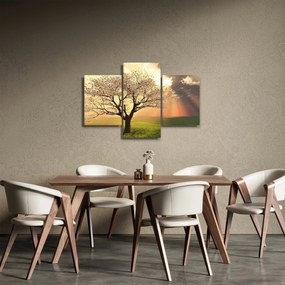 Tablou cu copac pe luncă (90x60 cm)