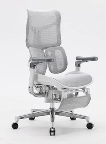 Scaun ergonomic SIHOO DORO S300 ADAPTIVE, cotiere 6D ultra moi, suport lombar adaptiv, spătar reglabil pe inaltime, mecanism multifunctional inclinare/blocare, pivotant, Mesh, Gri