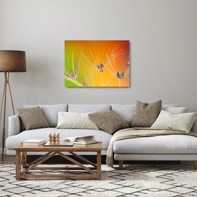 Tablou pe sticlă cu picături pe plantă (70x50 cm)
