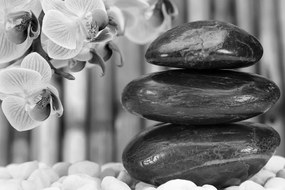 Tablou grădina japoneză Zen în design alb-negru