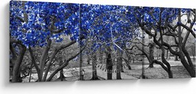 Tablou - Copaci albaștri Central Park, New York (cu ceas) (90x30 cm)