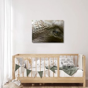 Tablou pe sticlă - Prim-planul ochiului de elefant vechi (70x50 cm)
