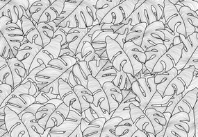 Fototapet - Frunze de monstera (147x102 cm)