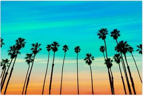 Tablou - California (90x60 cm)