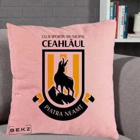 Perna Personalizata CSM Ceahlaul Piatra Neamt Fotbal, 40x40 cm, Roz, Husa Detasabila, Perna Inclusa, BEKZ®
