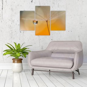 Tablou - Flori macro (90x60 cm)