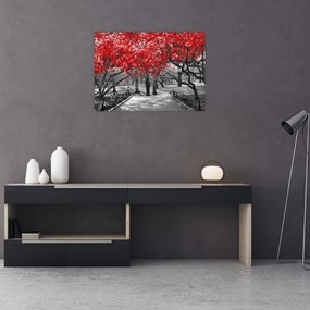 Tablou pe sticlă - Copaci roșii, Central Park, New York (70x50 cm)