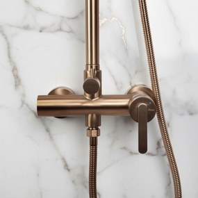 Set dus Rea Ontario Brush Copper