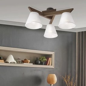 Lustră LED aplicată Brilagi ANTHONY 3xE14/40W/230V stejar nuc/alb