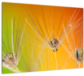 Tablou cu picături pe plantă (70x50 cm), în 40 de alte dimensiuni noi