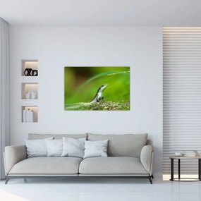 Tablou cu șopârlă (90x60 cm)