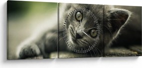 Tablou cu pisicuța (cu ceas) (90x30 cm)