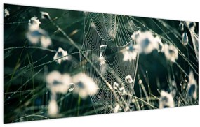 Tablou - Pânză de păianjen (120x50 cm)