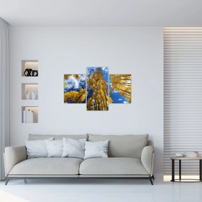 Tablou - Aspen (90x60 cm)