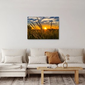 Tablou cu câmp în apus de soare (70x50 cm)