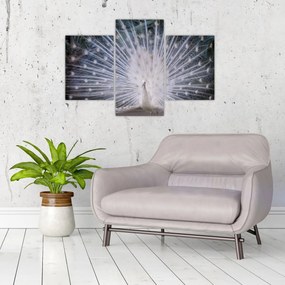 Tablou - Păun alb (90x60 cm)