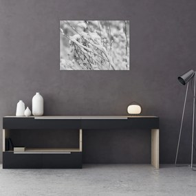 Tablou - Ramuri înzăpezite (70x50 cm)