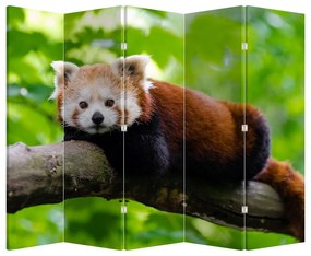 Paravan - Panda roșie (210x170 cm)